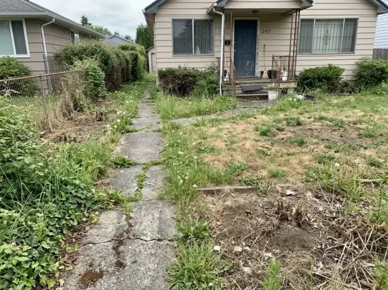 Original Complete Landscape Redesign before Deqor AI